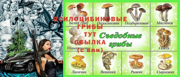 ALPHA PVP Алексеевка