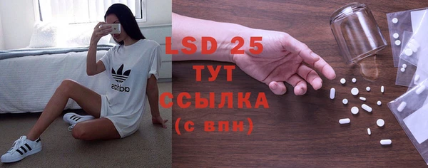 прущие грибы Алзамай