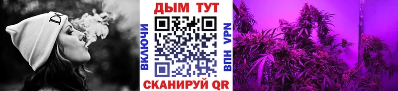 купить наркотики сайты  Макушино  Шишки марихуана марихуана 